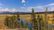 The Hayden Valley. Photo by Dave Bell.