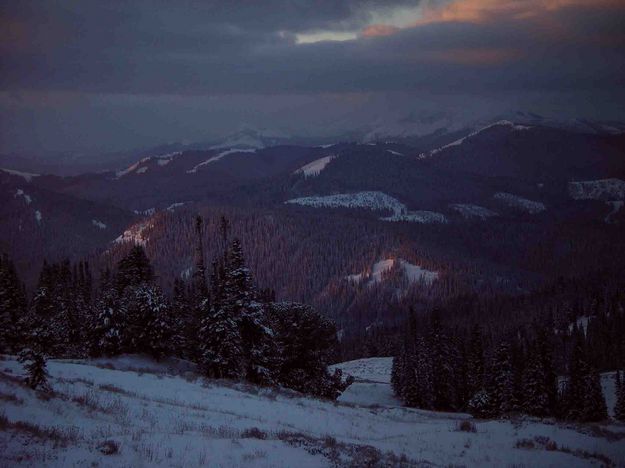 Pink Sunrise Tints The Forest. Photo by Dave Bell.