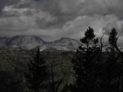 Fremont Peak Snow Line. Photo by Dave Bell.