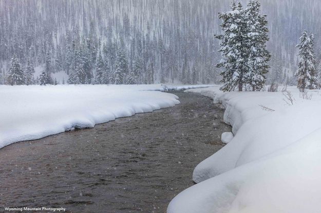 Mouth Of The Canyon. Photo by Dave Bell.