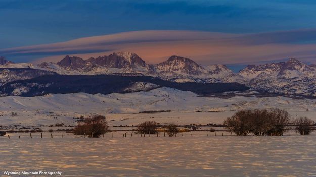 The Front Yard. Photo by Dave Bell.