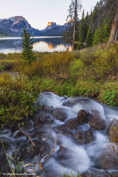 Rushing Water. Photo by Dave Bell.