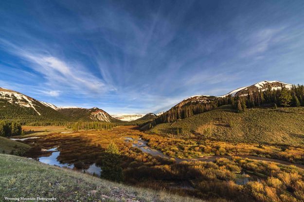 Beautiful South Cottonwood. Photo by Dave Bell.