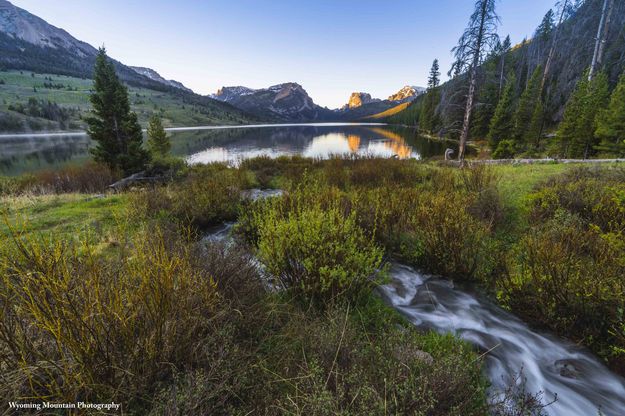 Morning Beauty. Photo by Dave Bell.