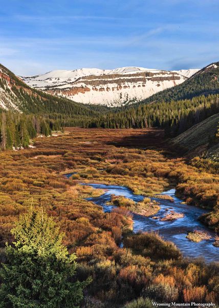 South Cottonwood Creek Valley. Photo by Dave Bell.