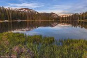 Soda Lake . Photo by Dave Bell.