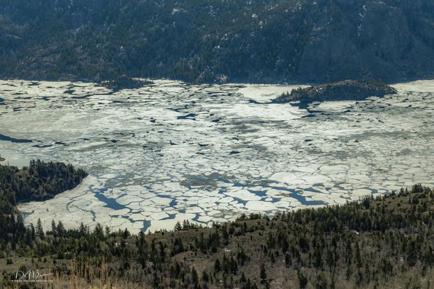 Icy Patterns. Photo by Dave Bell.