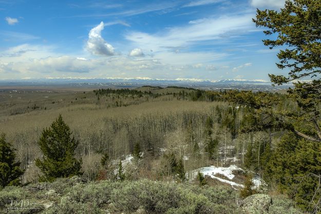 Across To The Wyoming Range. Photo by Dave Bell.