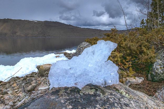 Icy Crystal. Photo by Dave Bell.