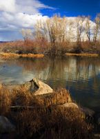 Late Fall At The CCC Ponds. Photo by Dave Bell.