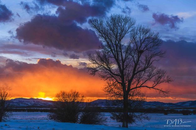 Nature's Magnificence. Photo by Dave Bell.