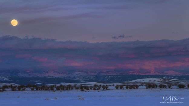 Sneaky Color. Photo by Dave Bell.