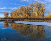 Morning Reflection. Photo by Dave Bell.