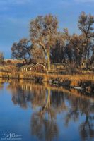 Reflections. Photo by Dave Bell.