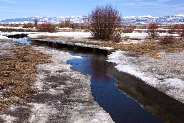 Duck Creek. Photo by Dave Bell.