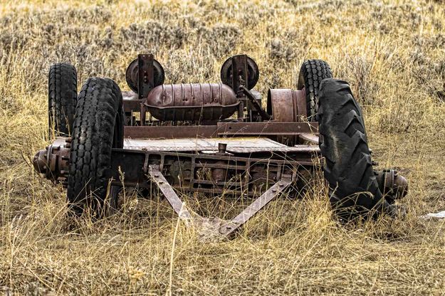 Barnyard Jewelry Of Some Type. Photo by Dave Bell.