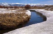 Duck Creek Icy Banks. Photo by Dave Bell.