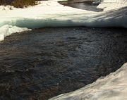 Pine Creek Ice Bridge. Photo by Dave Bell.