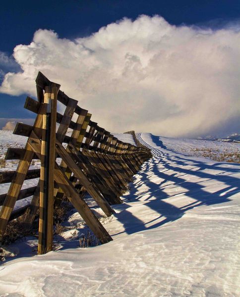 Snowfence Stripes. Photo by Dave Bell.