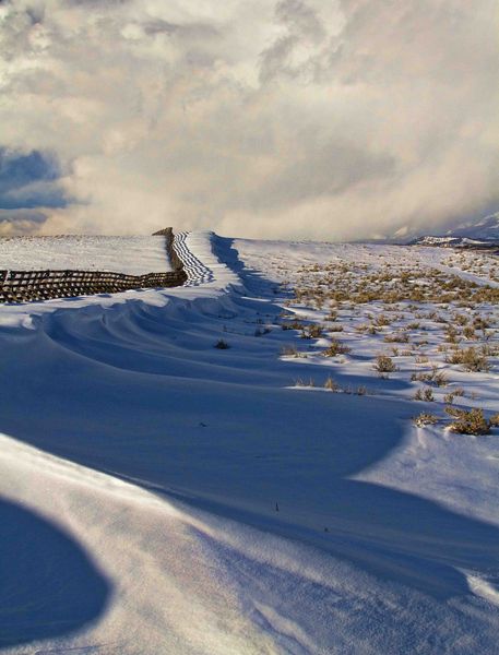 Snowfence Patterns. Photo by Dave Bell.