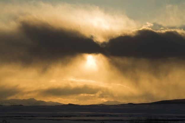 Yellow Snow. Photo by Dave Bell.