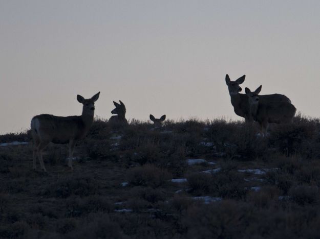 One In Every Crowd. Photo by Dave Bell.