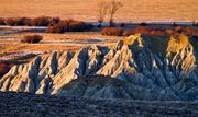 Eroded Rock. Photo by Dave Bell.