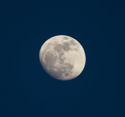 Waxing Gibbous. Photo by Dave Bell.