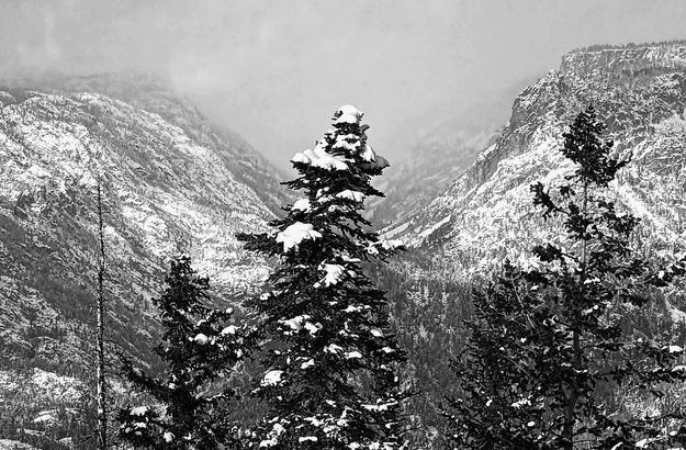 Snowy Top (B&W). Photo by Dave Bell.