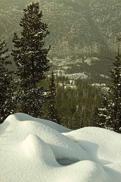 Fremont Lake Head. Photo by Dave Bell.