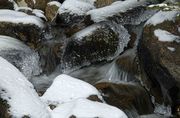 Sweeney Creek Icy Cascade. Photo by Dave Bell.