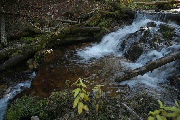 Fish Creek. Photo by Dave Bell.