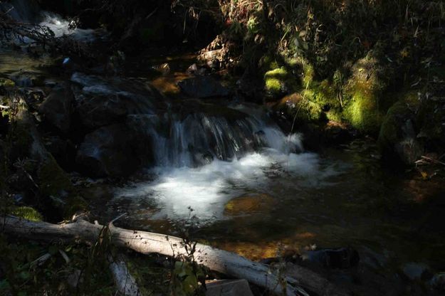 North Fork Fish Creek Water. Photo by Dave Bell.