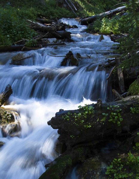 Fish Creek Cascade. Photo by Dave Bell.