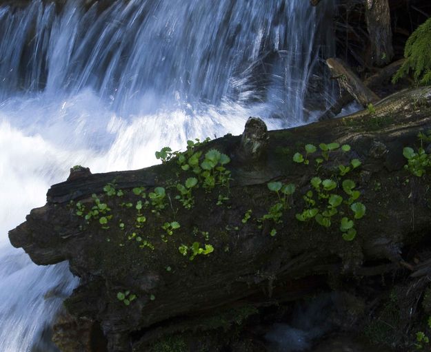 Back To Earth. Photo by Dave Bell.