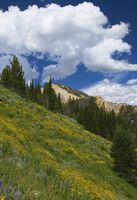 Gorgeous Scenery. Photo by Dave Bell.