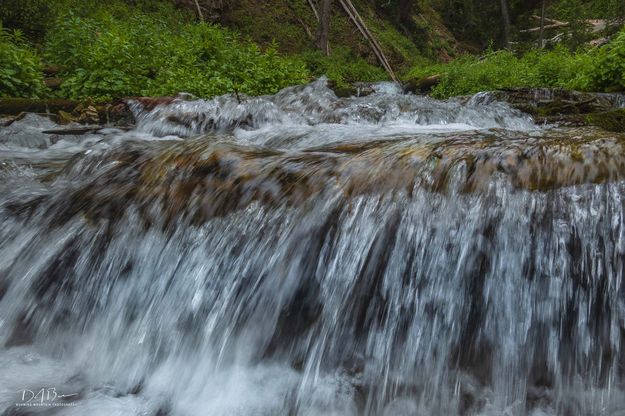 Fish Creek. Photo by Dave Bell.