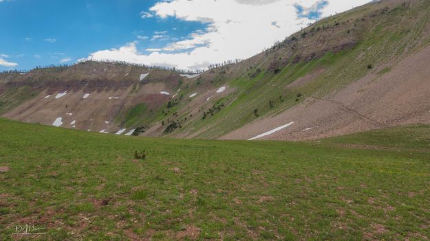 Trail To Cheese Pass. Photo by Dave Bell.