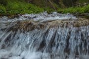 Fish Creek. Photo by Dave Bell.