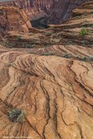 Wild Sandstone Lines. Photo by Dave Bell.