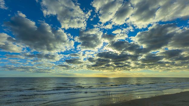 Beautiful Morning Puffiness. Photo by Dave Bell.