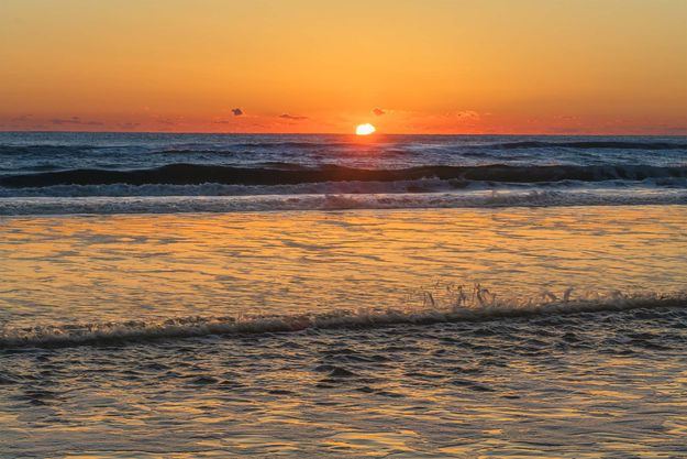 Sunny Morning. Photo by Dave Bell.