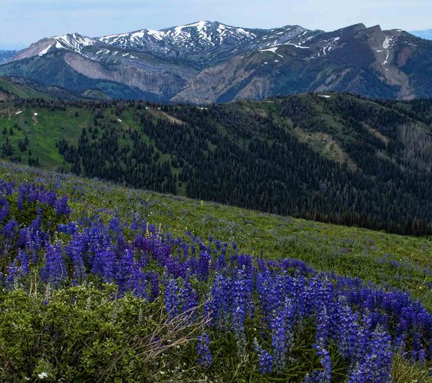 Hoback Peak. Photo by Dave Bell.