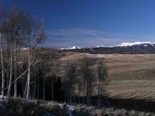 Winter Meadows. Photo by Dave Bell.