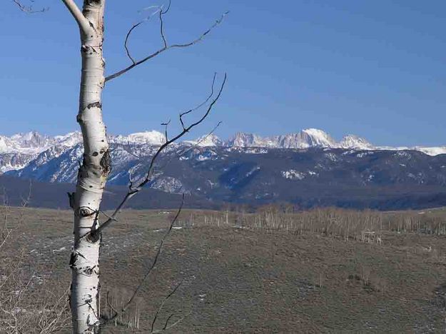 Fremont Peak and Wind River Range. Photo by Dave Bell.