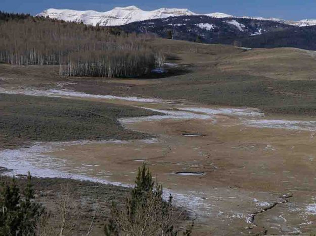 Open Meadows and Sawtooths. Photo by Dave Bell.