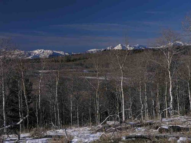 Gros Ventre Range View. Photo by Dave Bell.