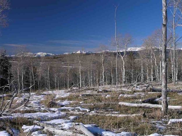 Gros Ventre Range View. Photo by Dave Bell.