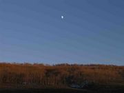 Rising Moon Over Aspen. Photo by Dave Bell.