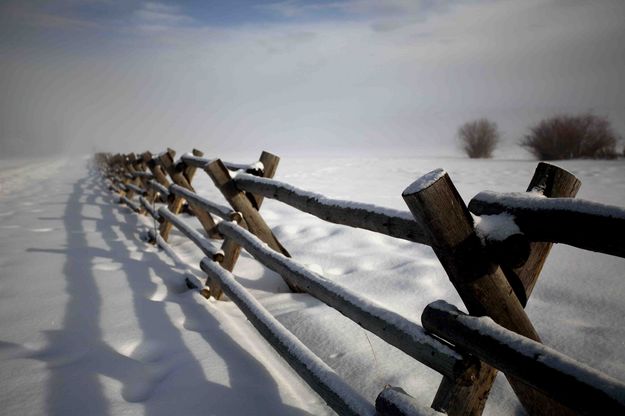 Buckrail Fence. Photo by Dave Bell.